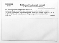 Image Associated With the Occurence